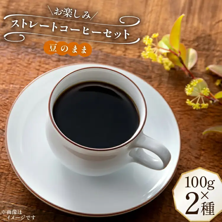 コーヒー豆 100g 2種 (豆のまま) 飲み比べセット [自家焙煎珈琲ぴちかーと 福岡県 筑紫野市 21761244]