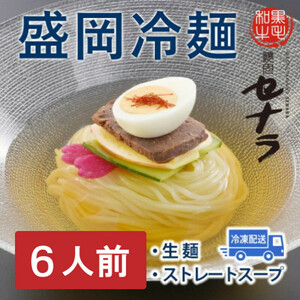 盛岡冷麺セット（6人前）　【11100-1614】