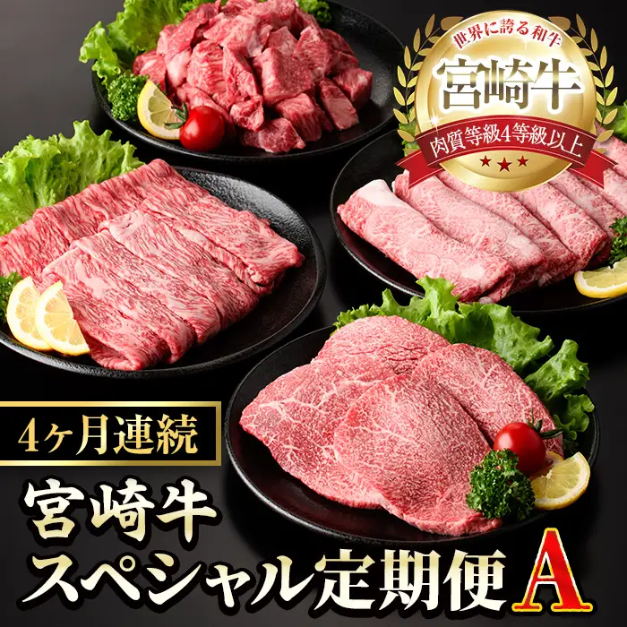 【定期便・全4回(連続)】宮崎牛スペシャル定期便A  黒毛和牛 冷凍 国産【YM-17】【YAMATO株式会社】