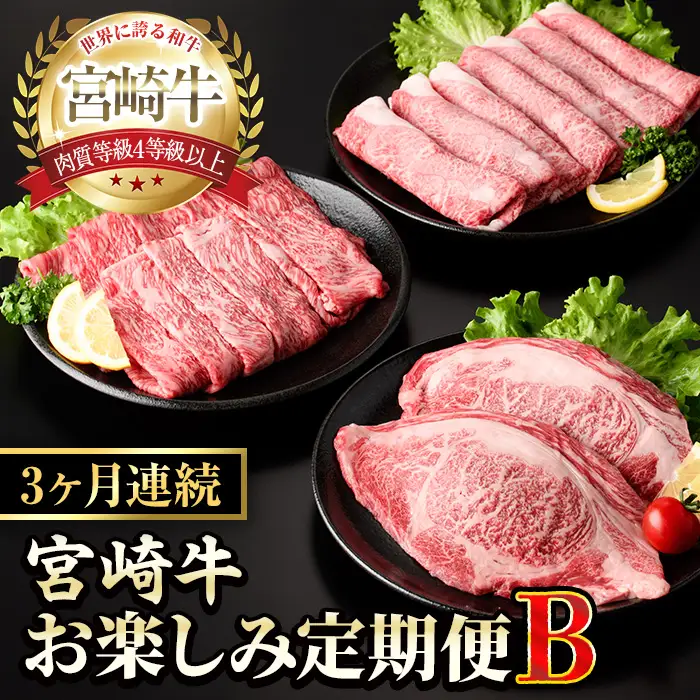 【定期便・全3回(連続)】宮崎牛お楽しみ定期便B すき焼き お肉 牛肉 黒毛和牛 宮崎牛 ブランド和牛 冷凍 国産 肩 ウデ モモ 赤身 スライス 宮崎県産 しゃぶしゃぶ 【YM-19】【YAMATO株式会社】