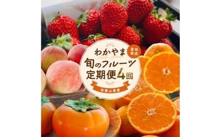 わかやま 旬の フルーツ 定期便 全4回 / 有田みかん まりひめ いちご 桃 柿 ※北海道・沖縄・離島への配送不可 【ard050-lf4A】