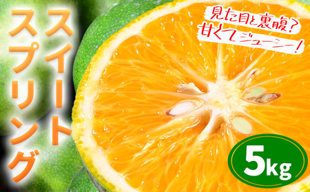 【先行予約】スイートスプリング5kg《2026年12月上旬-2027年1月下旬頃出荷予定》都呂々みかん