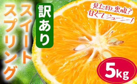 【先行予約】訳あり スイートスプリング 5kg 柑橘