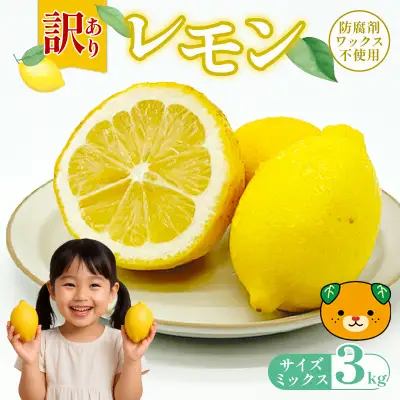 【先行予約】訳ありレモン 3kg ワックス 防腐剤不使用 サイズミックス カラーミックス グリーンレモン イエローレモン 柑橘 傷 不揃い レモン 檸檬 れもん  サイズミックスレモン 規格外 常温 愛南町 青果市場 愛媛県 