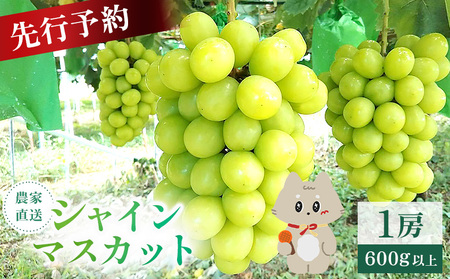 【先行予約】《2026年9月下旬～11月下旬出荷》  宮城県丸森町産 シャインマスカット　1房(1房 600g以上)【48002】