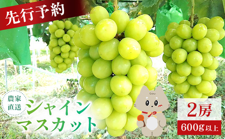 【先行予約】《2026年9月下旬～11月下旬出荷》 宮城県丸森町産 シャインマスカット　2房(1房 600g以上)【4800302】
