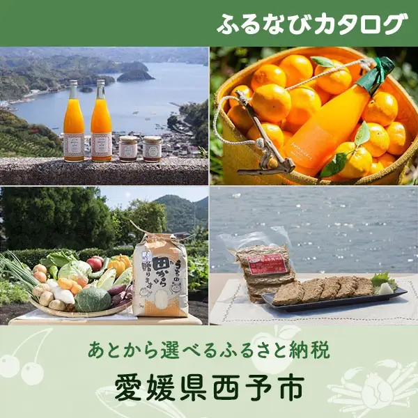 【有効期限なし！後からゆっくり特産品を選べる】愛媛県西予市カタログポイント