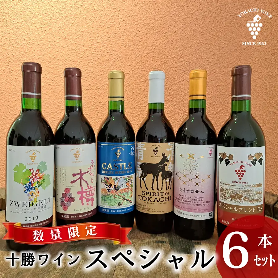 【数量限定】十勝ワインスペシャル6本 特別醸造 限定ラベル 赤ワイン 北海道池田町