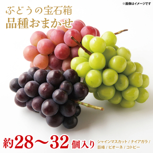 【先行予約】ぶどう 粒どり  約28個～32個入り