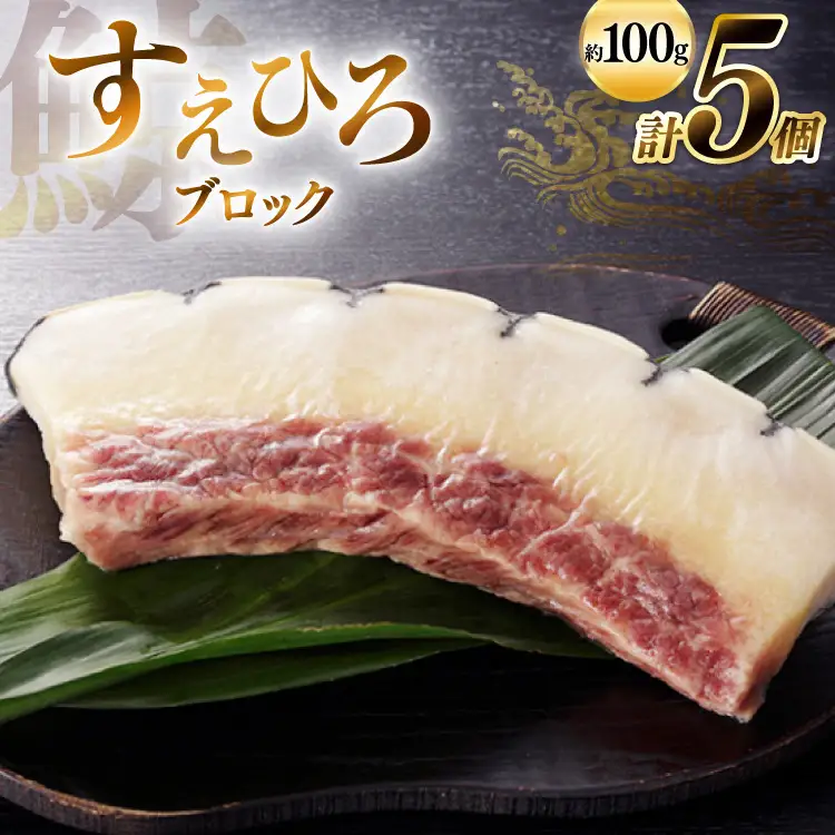 BJ144 すえひろ ブロック 100g×5個セット 計500g [ 長崎県 島原市 ]