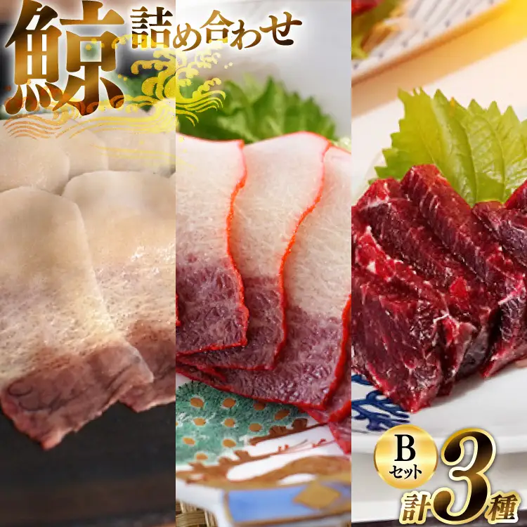 BJ150 美味しい 鯨 3種詰め合わせBセット 計310g( 背肉 ベーコンスライス すえひろスライス ) [ 長崎県 島原市 ]
