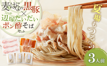 麦のはな の 黒豚 × 辺塚だいだいポン酢 そば セット【3人前】 K071-008 冷凍