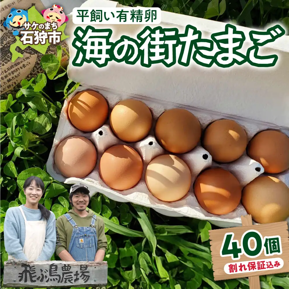飛ぶ鳥農場　海の街たまご 40個 ｜  鶏卵 平飼い 有精卵 北海道石狩市