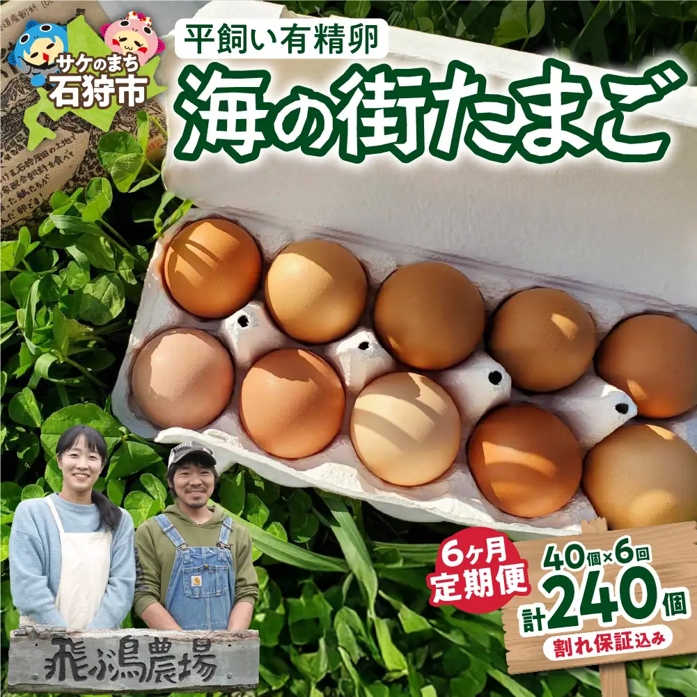 【定期便】飛ぶ鳥農場　海の街たまご　40個×6か月｜ 鶏卵 平飼い 有精卵 北海道石狩市