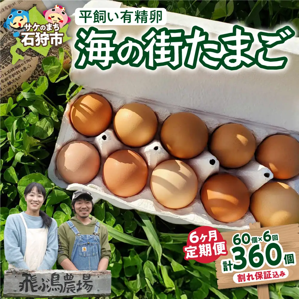 【定期便】飛ぶ鳥農場　海の街たまご　60個×6か月 ｜ 鶏卵 平飼い 有精卵 北海道石狩市