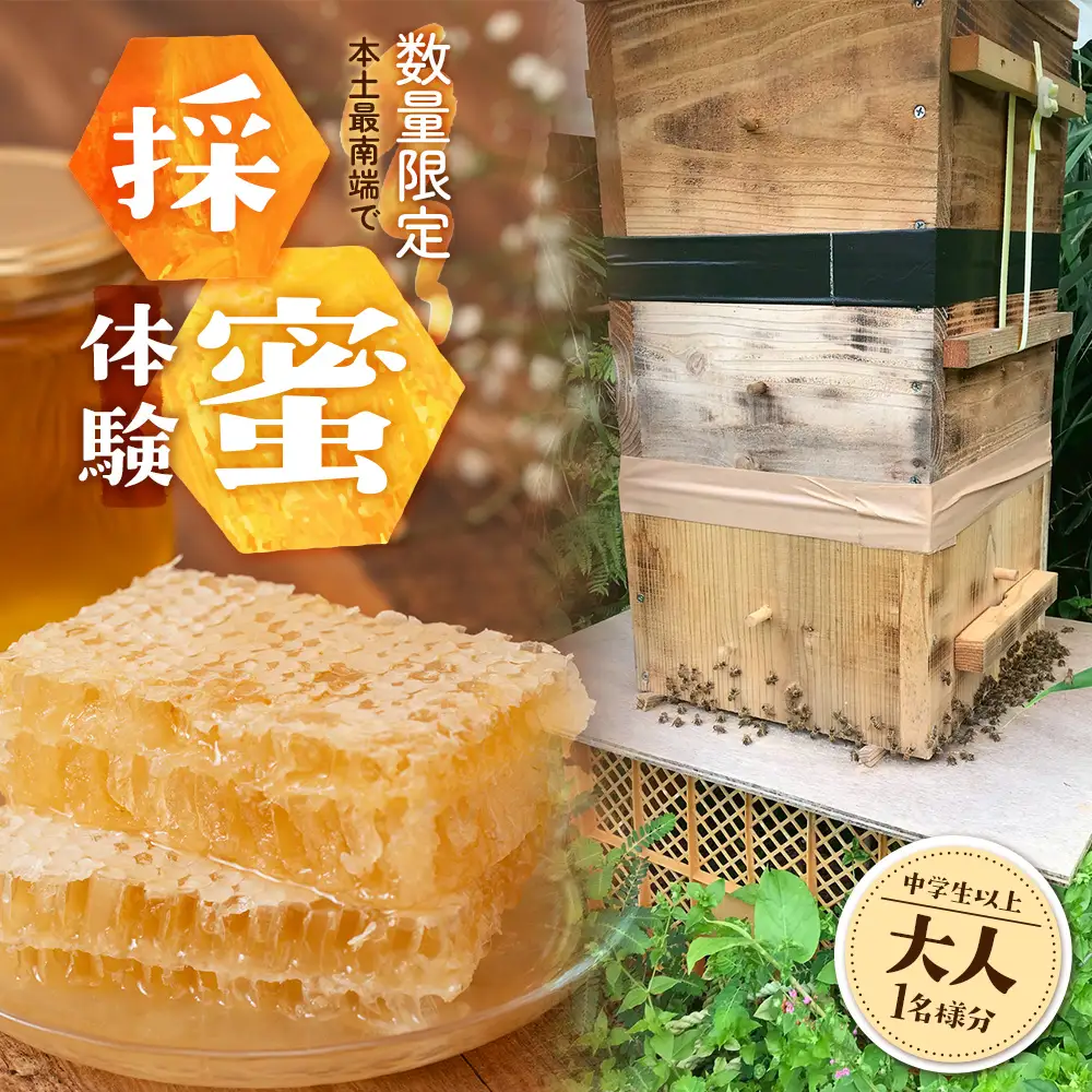 【期間限定】数量限定！『本土最南端で採蜜体験』大人1名（中学生以上） CC7001｜はちみつ 採蜜 体験 人気 養蜂 日本 みつばち 研究会 鹿児島県 南大隅町