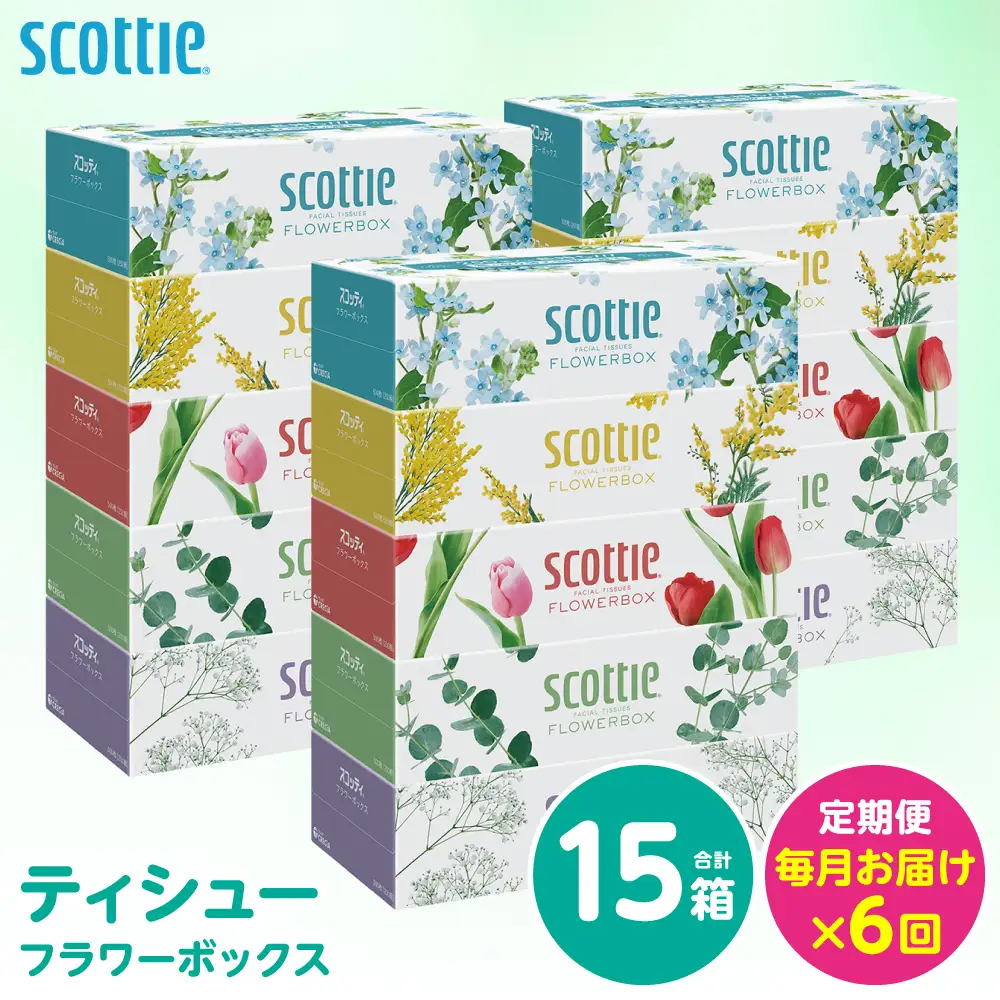 【定期便6回】【毎月お届け】【スコッティ】 ティシュー フラワーボックス 250組 15箱 計90箱 ティッシュ 日用品 生活必需品 消耗品 紙 まとめ買い 備蓄 防災備蓄 ストック デザインボックス 新生活 防災 生活用品 日用消耗品 箱ティッシュ