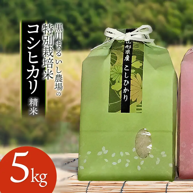 【令和7年産】 黒川まるいし農場の特別栽培米 コシヒカリ 5kg　山形県鶴岡市産　K-745