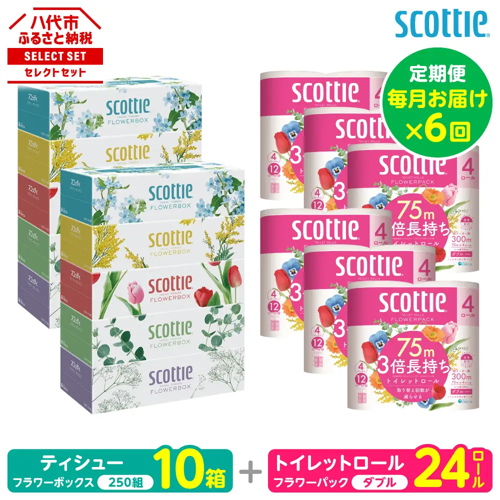 【定期便6回】【毎月お届け】【スコッティ】 組み合わせ ティシュー フラワーボックス 250組 10箱 計60箱 トイレットロール ダブル フラワーパック 3倍長持ち 24ロール 計144ロール ティッシュ トイレットペーパー 日用品 ストック 防災備蓄 ストック 備蓄 新生活 防災 消耗品 生活用品 日用消耗品 箱ティッシュ
