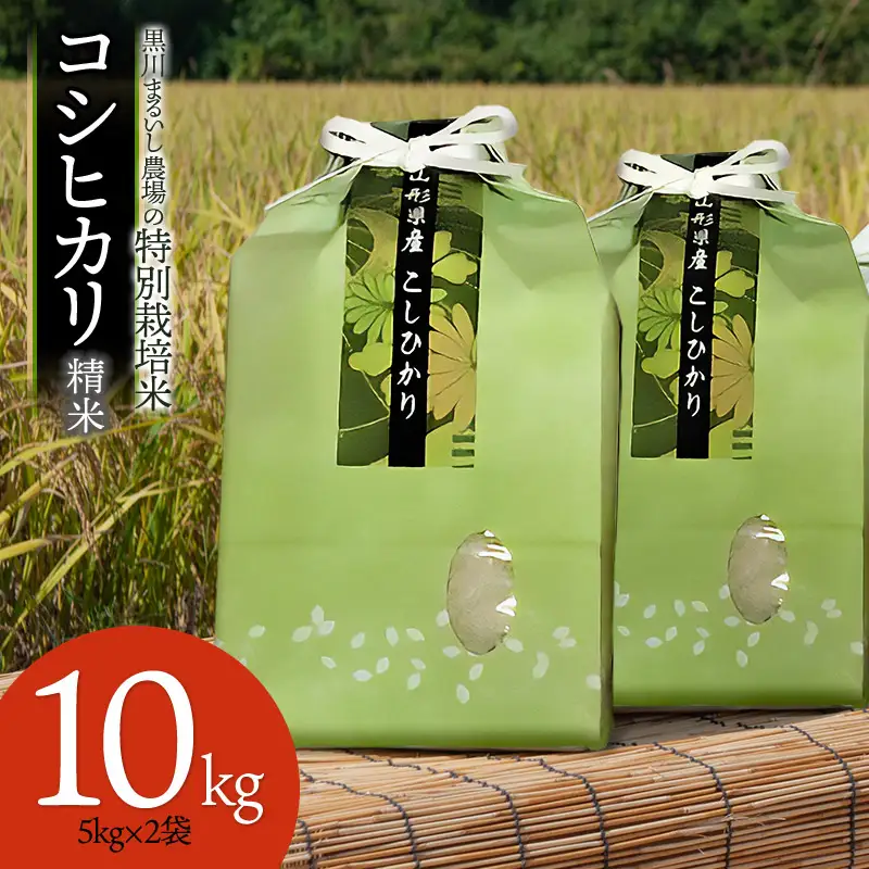 【令和7年産】 黒川まるいし農場の特別栽培米 コシヒカリ 10kg (5kg×2)　山形県鶴岡市産　K-784