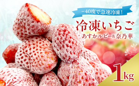 冷凍いちご 1kg 奈良県産 あすかルビー & 奈乃華 -40度で急速冷凍！ スムージー フルーツ デザート BN001