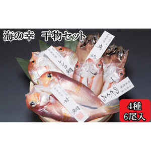 海の幸干物セットA