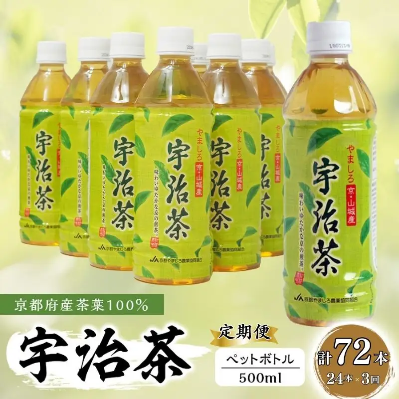【3回定期便】宇治茶ペットボトル 500ml×24本 お茶ペットボトル