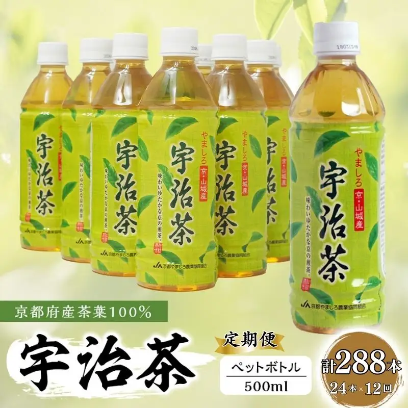 【12回定期便】宇治茶ペットボトル 500ml×24本 お茶ペットボトル