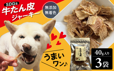 愛犬のおやつ 牛たん皮 40ｇ×3個入り 無添加 無着色 安心 国内生産 愛犬 おやつ ワンちゃん わんこ 喜ぶ ジャーキー SDGｓ H160-010