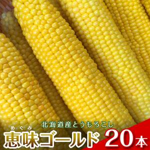 【2026年8月中旬発送開始】北海道産とうもろこし（恵味ゴールド20本） EB8-0446