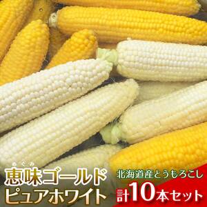 【2026年8月中旬発送開始】北海道産とうもろこし（恵味ゴールド5本・ピュアホワイト5本セット） EB8-0448