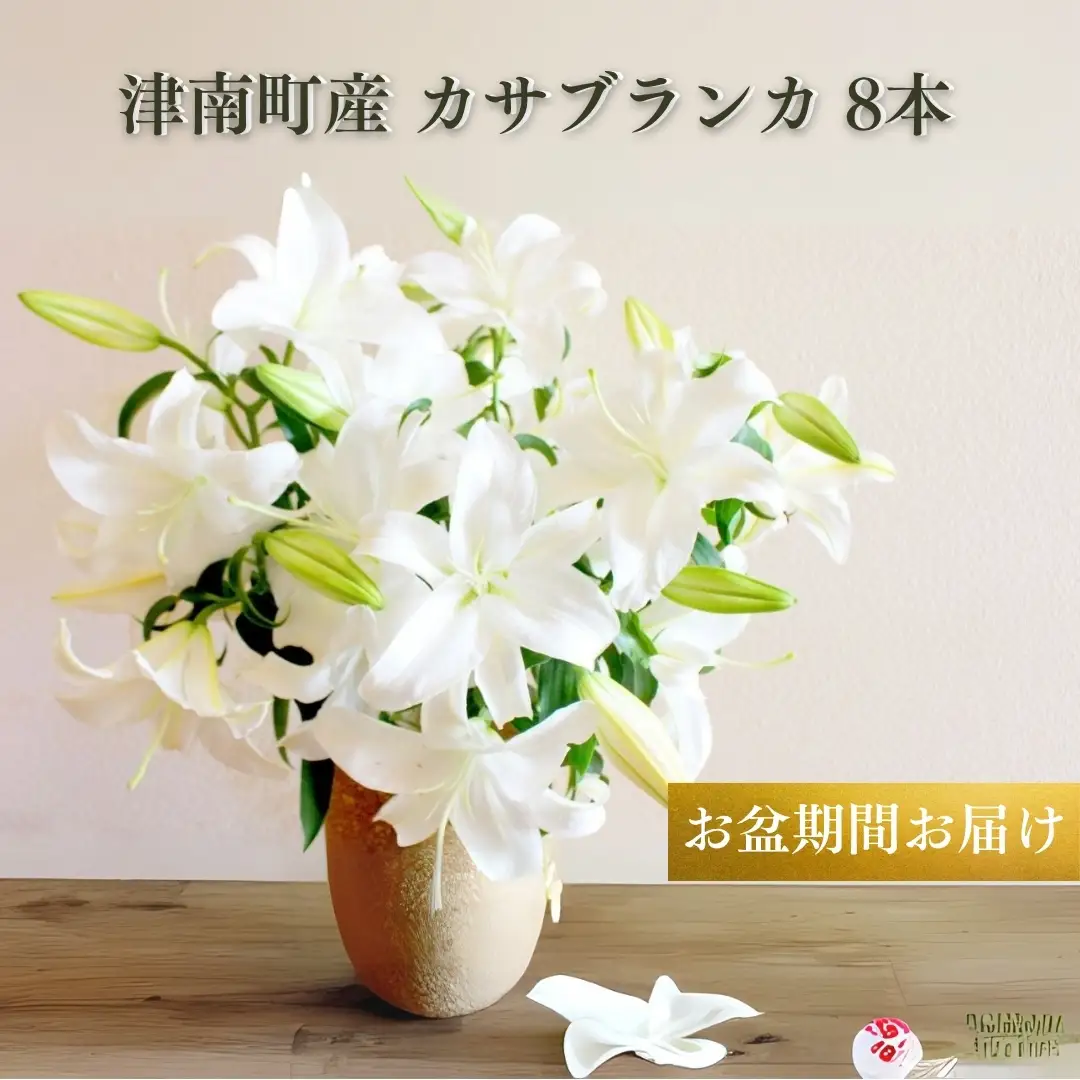 【2026年先行予約】花 カサブランカ 8本セット お盆期間お届け ユリ ユリの女王 オリエンタルハイブリッド 有限会社イタバ |津南町 カサブランカ