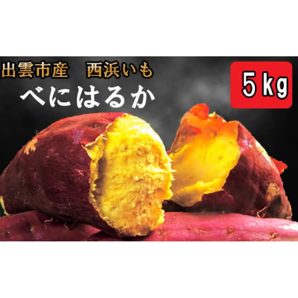 西浜いも（べにはるか）5kg