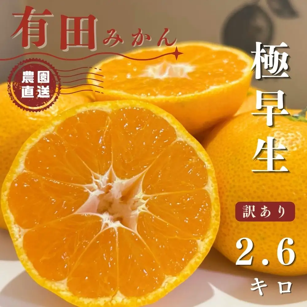 有田みかん 極早生  2.6kg（箱込み3kg） 訳あり S～Lサイズおまかせ  【2026年11月発送】