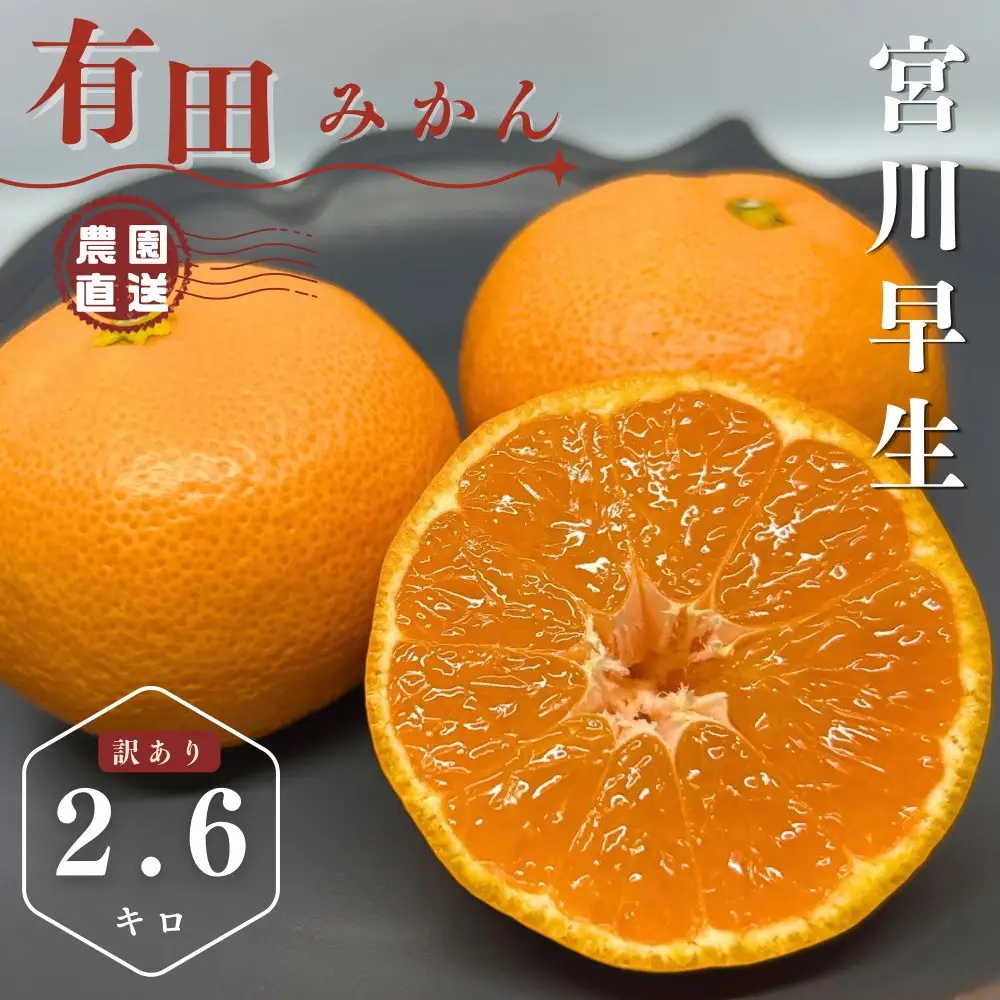 有田みかん 早生 温州みかん 2.6kg（箱込み3kg） 訳あり S～Lサイズおまかせ 柑橘 フルーツ