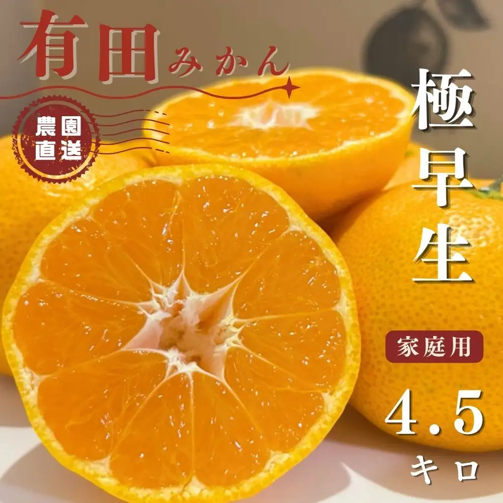 【ふるさと納税】有田みかん 極早生 4.5kg（箱込み5kg）家庭用 S～Lサイズ おまかせ【2026年11月発送】柑橘 フルーツ みかん 産地直送 お取り寄せ 送料無料