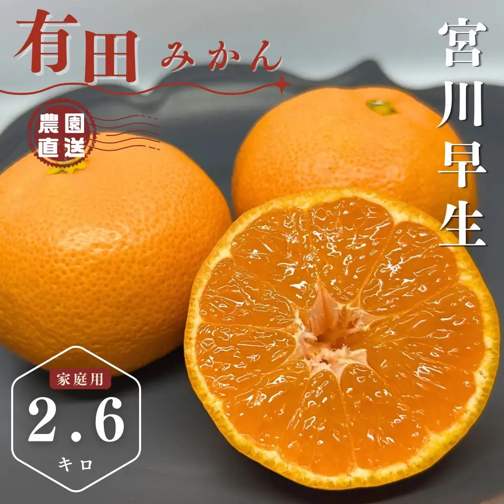 【ふるさと納税】【先行予約】有田みかん 早生 温州みかん 2.6kg（箱込み3kg）家庭用 S～Lサイズ おまかせ 柑橘 フルーツ みかん 産地直送 お取り寄せ 送料無料 温州ミカン
