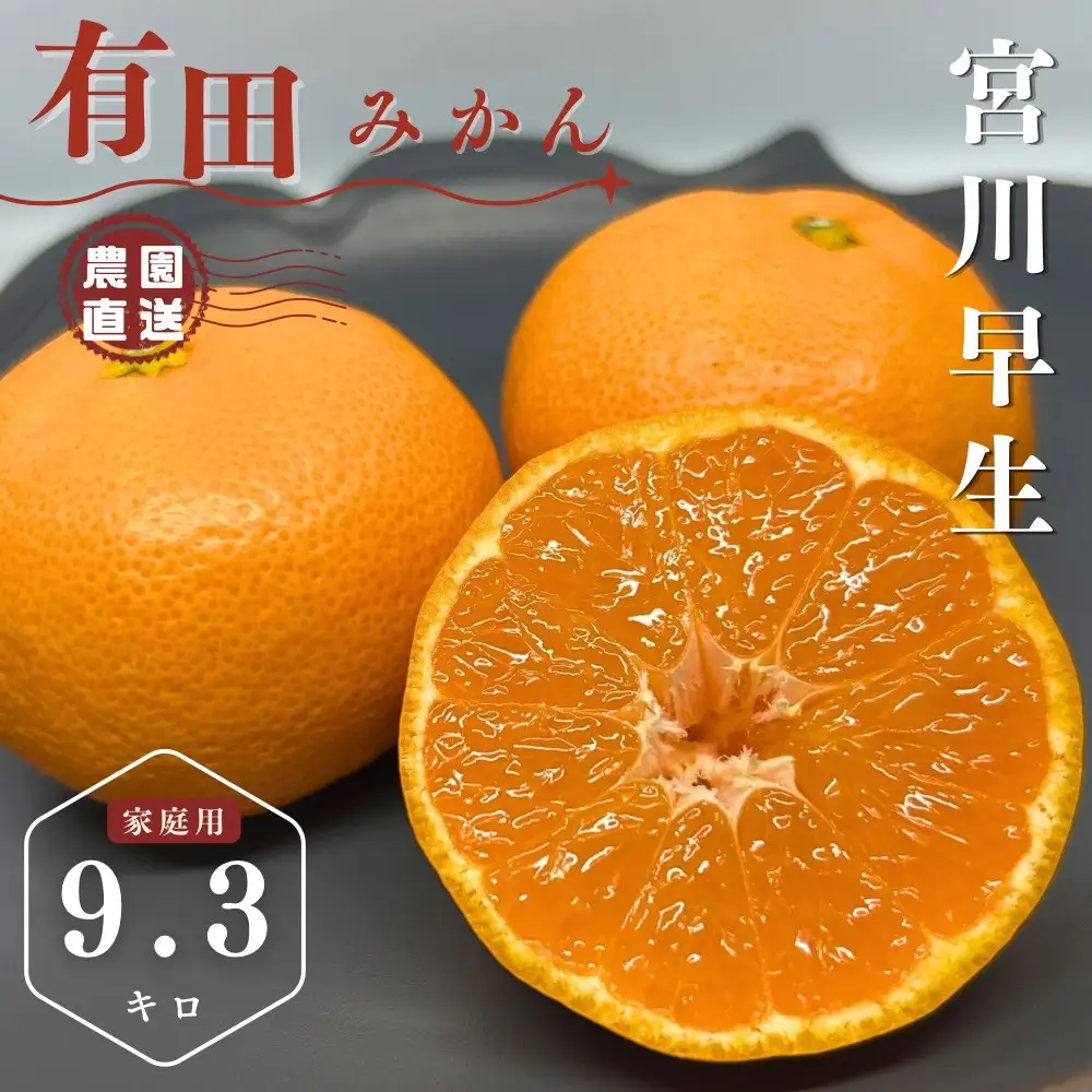 【ふるさと納税】【先行予約】有田みかん 早生 温州みかん 9.3kg（箱込み10kg）家庭用 S～Lサイズ おまかせ 柑橘 フルーツ みかん 産地直送 お取り寄せ 送料無料 温州ミカン