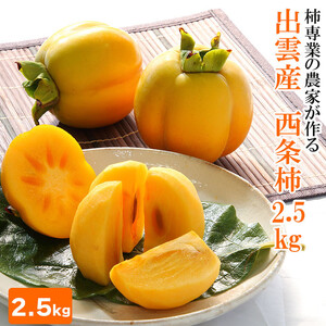 【柿専業の農家が作る】出雲産西条柿　2.5kg