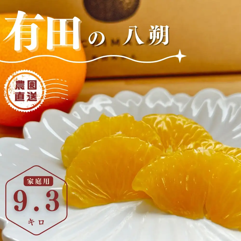 【ふるさと納税】【先行予約】 八朔 9.3kg（箱込み10kg） 家庭用 サイズ混合 柑橘 フルーツ はっさく 産地直送 お取り寄せ 送料無料