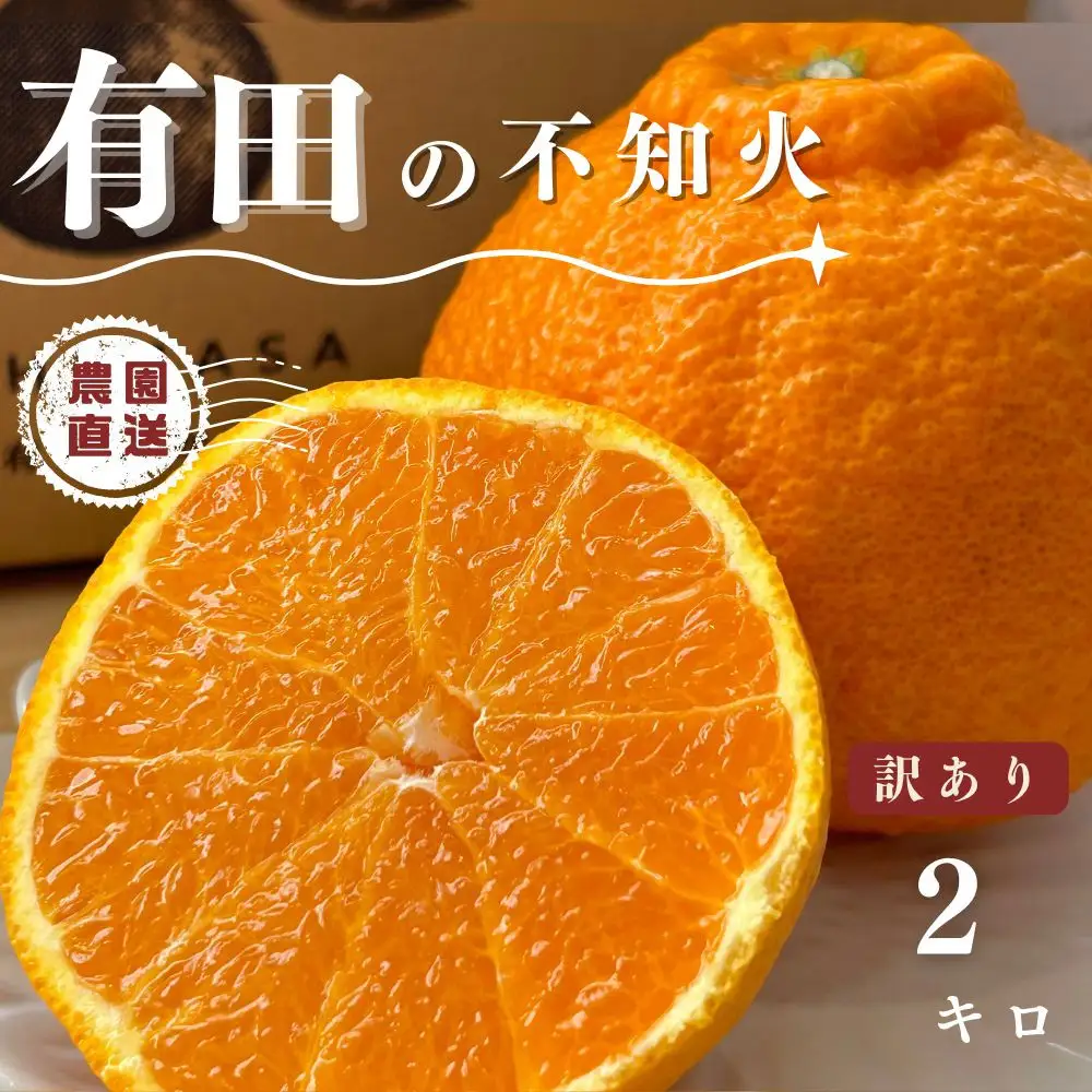 【ふるさと納税】【先行予約】 不知火 2kg 訳あり サイズ混合 柑橘 フルーツ  産地直送 お取り寄せ 送料無料