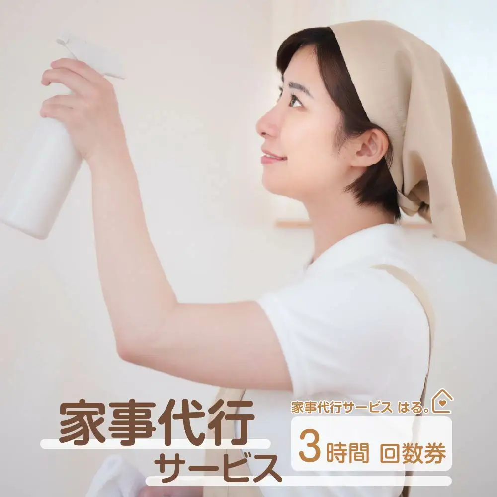 家事代行サービス　3時間　回数券（1時間券×3枚）　150P8406