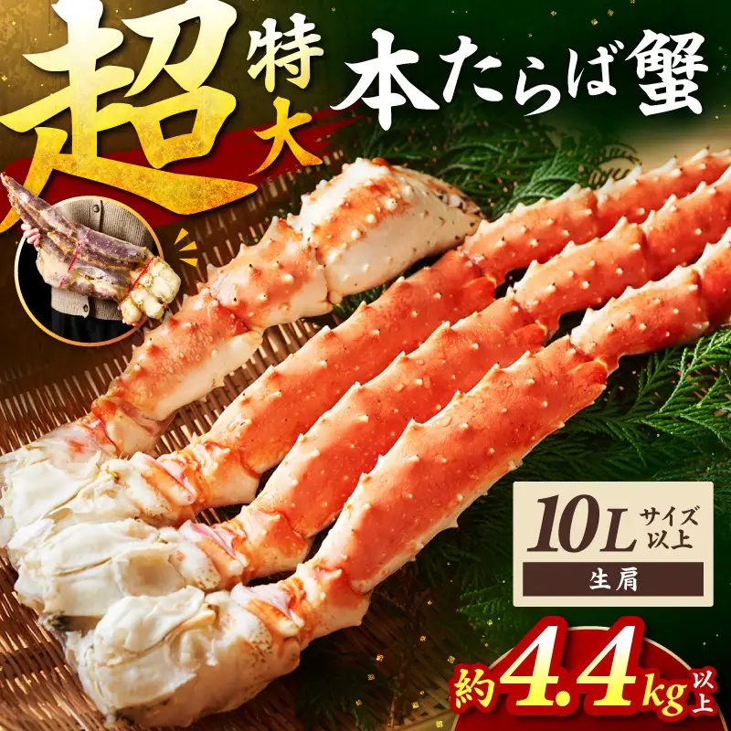 【2肩約4.4kgの10Lサイズ以上】一番人気！ 本たらば蟹 生肩 約4.4kg～ 目視選別【087A-007】