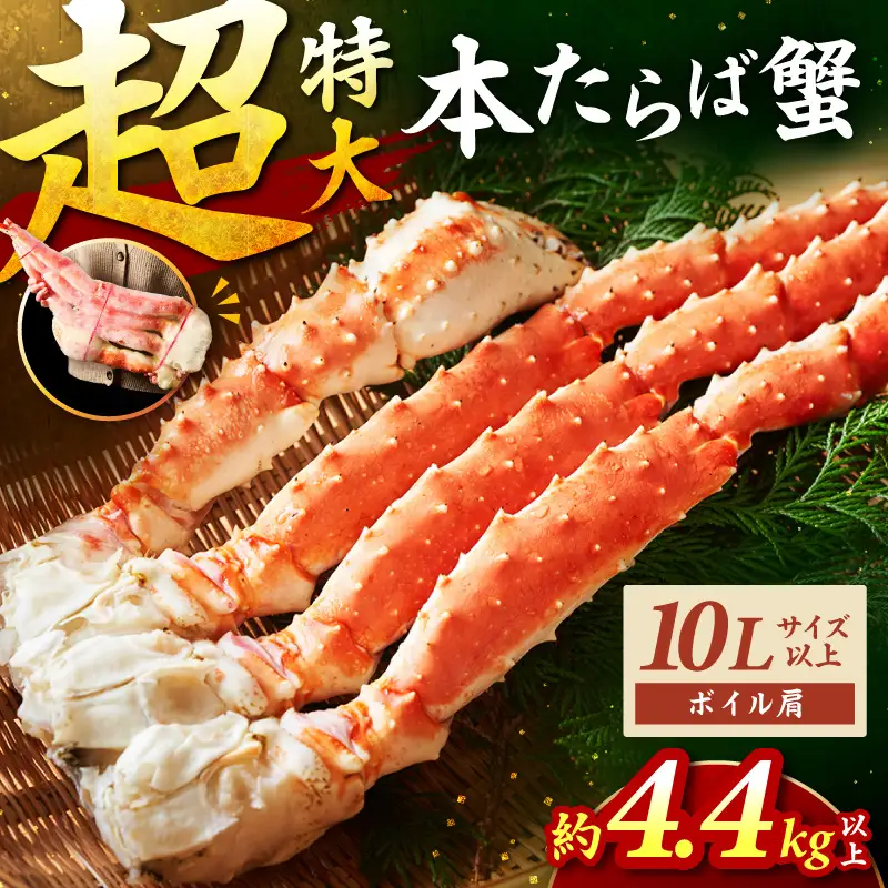 【2肩約4.4kgの超極太10Lサイズ以上】本たらば蟹 ボイル肩 約4.4kg～ 目視選別【087A-008】