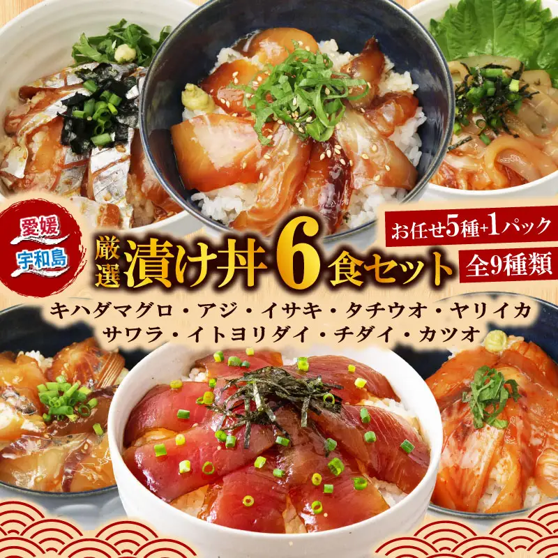 海鮮丼 天然 マグロ 等 6食 南予ビージョイ 海鮮丼 D010-150018