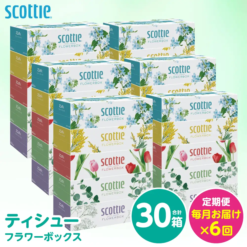 【定期便6回】【毎月お届け】【スコッティ】 ティシュー フラワーボックス 250組 30箱 計180箱 ティッシュ 日用品 生活必需品 消耗品 紙 まとめ買い 備蓄 防災備蓄 ストック デザインボックス 新生活 防災 生活用品 日用消耗品 箱ティッシュ
