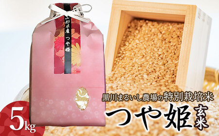 【令和7年産】 黒川まるいし農場の特別栽培米　つや姫　玄米　5kg 　山形県鶴岡市産　K-742