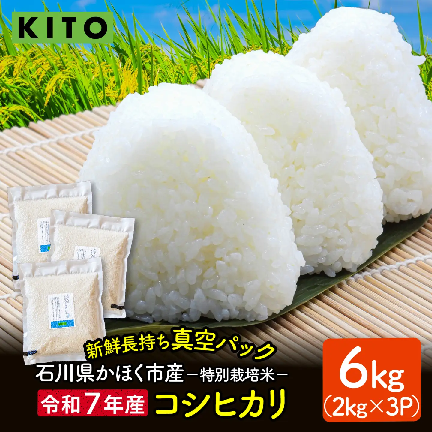 【令和7年産】こしひかり 6kg（2kg × 3袋）|  コシヒカリ お米