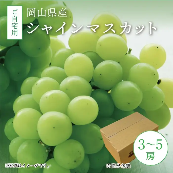 真庭市産 シャインマスカット 自宅用 3～5房 2kg / (2026年9月中旬以降発送予定) ぶどう 岡山 真庭 大粒 葡萄 果物 フルーツ ブドウ シャインマスカット 人気 数量限定 ご家庭用 皮ごと マスカット 産地直送 お買い得 新鮮 数量限定 岡山名産 定番 【配送不可地域：北海道／沖縄県／離島】【jujy005-02】