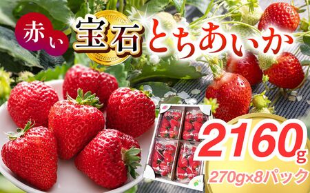 【2027年先行予約】真岡市産 赤い宝石「とちあいか」いちご 選べる 2160g (CN)